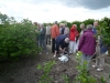 14-heemreis-limburg-9-juni-2012-blauwe-bessenkwekerij