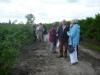 17-heemreis-limburg-9-juni-2012-blauwe-bessenkwekerij