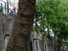 25 Heemreis Utrecht rondvaart